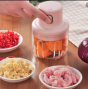 iShopping - Ferozi Traders Mini Electric Garlic Food Chopper