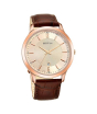 iShopping - Titan Analog Men's Leather Watch - Brown (1825WL02)