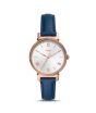 iShopping - Fossil Daisy Three-Hand Women’s Watch Midnight Navy (ES4862P)