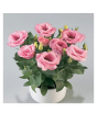 iShopping - HusMah Bonsai Rare Eustoma Seeds- Pink