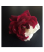 iShopping - HusMah Maroon White Rose Seeds