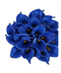 iShopping - HusMah Rare Calla Lily Seed- Blue