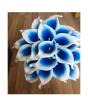 iShopping - HusMah Rare Calla Lily Seeds- White & Blue