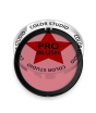 iShopping - Color Studio Pro Blush Murder- 213