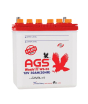 iShopping - AGS Washi 30Ah 12V Battery (WS-55)