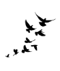 iShopping - M-Mart Fly Birds Temporary Tattoo Sticker