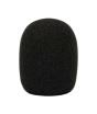 iShopping - Rode WS2 Pop Filter Windshield Black