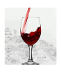 iShopping - Easy Shop 6 Pcs Beautiful Wine Glasses (1284)