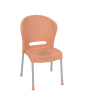 iShopping - Boss Steel Plastic Jack Rattan Chair Without Arms Every (BP-662-EVE)