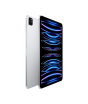 iShopping - Apple iPad Pro 11" 256GB Wi-Fi M2 Chip Silver (2022)