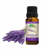 iShopping - Chiltan Pure Lavender Essential Oil