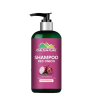 iShopping - Chiltan Pure Red Onion Shampoo For Hair - 250ml