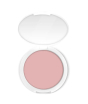 iShopping - Color Studio Pro Blush Powder Persian (227)