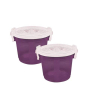 iShopping - Appollo Handy Food Storage Container Small (Pack Of 2)-Purple