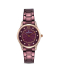 iShopping - Daniel Klein Premium Women's Watch (DK11990-6)