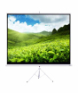 iShopping - Deli Projector Screen (50453)