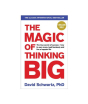 iShopping - The Magic of Thinking Big Book