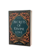 iShopping - Secrets Of Divine Love Book
