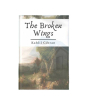 iShopping - The Broken Wings Book