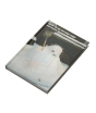 iShopping - Diary Of An Oxygen Thief Book