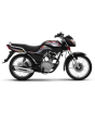 iShopping - Super Star SS 125 Sports (DYL YD125) - 2024 Model-Black-None