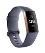 iShopping - Fitbit Charge 3 Fitness Tracker Blue Gray