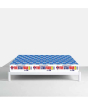 iShopping - Five Star Foam Queen Size 6" Spring Mattress