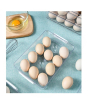 iShopping - G-Mart 12 Grids Egg Storage Box Tray