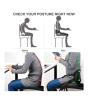 iShopping - G-Mart Adjustable Waist Protector Portable Back Support Belt