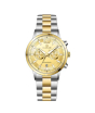 iShopping - Timezone SoulSync Harmony Watch For Men Two Tone Golden (TZ-1323)-Gold