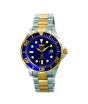 iShopping - Invicta Grand Diver Automatic Men's Watch Two-Tone (3049)