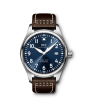 iShopping - IWC Pilots Mark Xviii Edition Le Petit Prince Men's Watch Brown (IW327004)