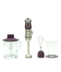 iShopping - Jackpot Hand Blender with Chopper & Egg Beater (JP-904)