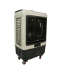 iShopping - Super Asia ECM 3500 Air Cooler 35 Litters (DC-12)
