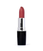 iShopping - Swiss Miss Lipstick Rose Wood (MATTE-245)