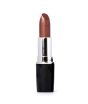 iShopping - Swiss Miss Lipstick Metallic Brown (MATTE-249)