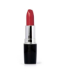 iShopping - Swiss Miss Lipstick Slate Rose (MATTE-259)