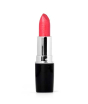 iShopping - Swiss Miss Lipstick (MATTE-520)