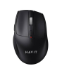 iShopping - Havit Wireless Mouse (MS61WB)-Black
