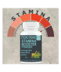 iShopping - Organic Superfoods Stamina Booster Powder for men 100gm