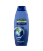 iShopping - Palmolive Naturals Anti-Dandruff Shampoo 350ml 