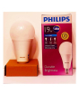 iShopping - Philips LED Bulb 19-160W E27 6500K