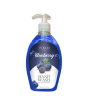 iShopping - Posch Care Blueberry Handwash