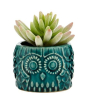 iShopping - Premier Home Fiori Small Succulent Blue Owl Pot (2907020)