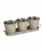 iShopping - Premier Home Jardin Pots On Oblong Tray Set Of 3 (2450019)