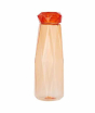 iShopping - Premier Home Mimo Coral Drinking Bottle (1405345)