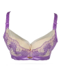 iShopping - Purple Bag Fancy Net Lace Soft Padded Wireless Full Support Coverage Bra (0029)