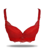 iShopping - Purple Bag Fancy Soft Padded Wired less Bra For Women Red (OFW0033)