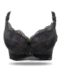 iShopping - Purple Bag Lace Net Soft Padded Wired less Bra For Women (OFW0035)
