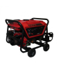 iShopping - Rato Gas & Petrol Self Start 3.0 KVA Generator (RT3800EV)